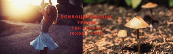 соль ск Абдулино