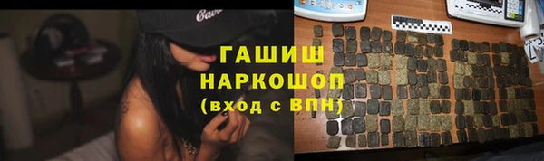 гашик Снежногорск