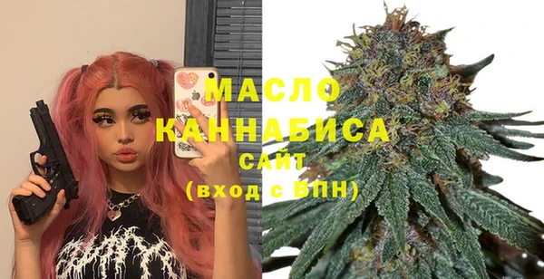 гашик Снежногорск