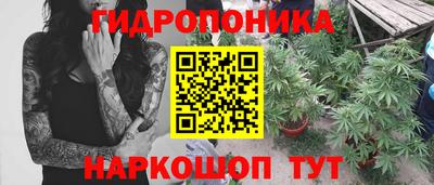 шишки Ликино-Дулёво