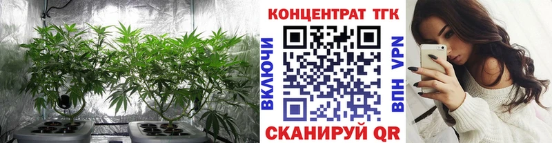 даркнет сайт  Кашира  Дистиллят ТГК THC oil 