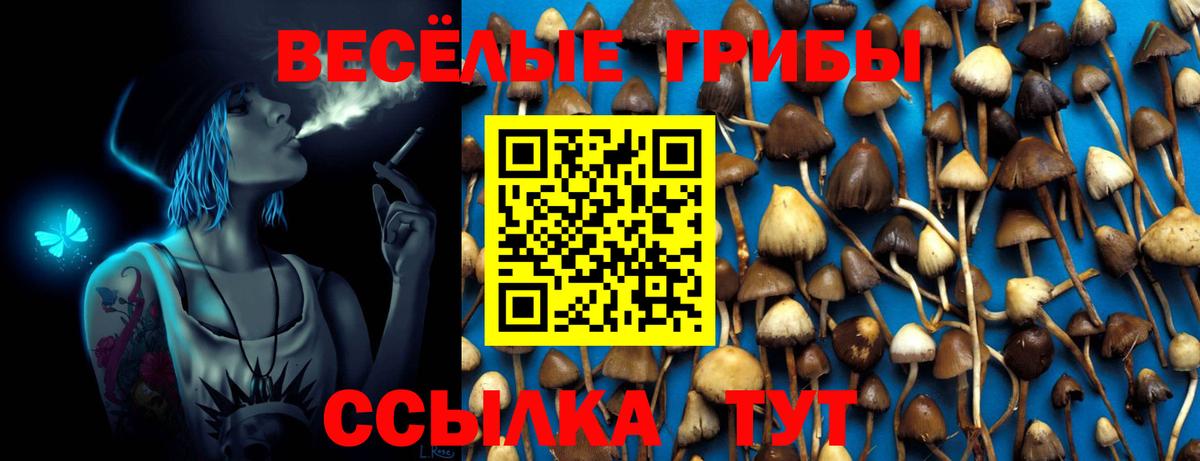 Псилоцибиновые грибы прущие грибы  Вход с VPN  Кашира 